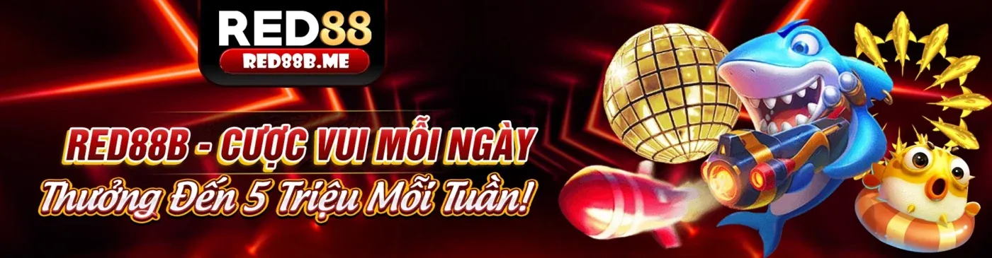 Điều khoản và Điều kiện của kuwin24 nhà cái