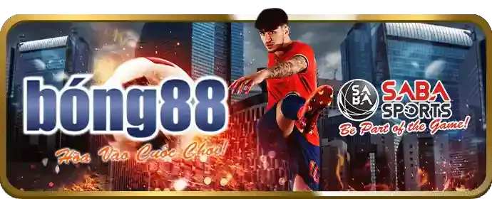 Hình ảnh minh họa hướng dẫn cá cược thể thao kuwin24 nhà cái